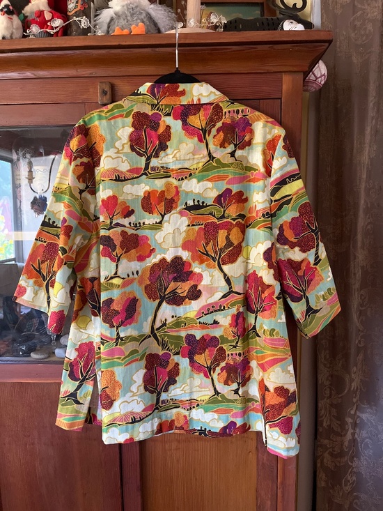 Leslie Evans Brooklyn tunic shirt in Sonoma Landscape - Picture 2 of 6